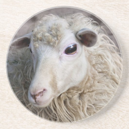 Funny Sheep Sandstein Untersetzer (Vorne)