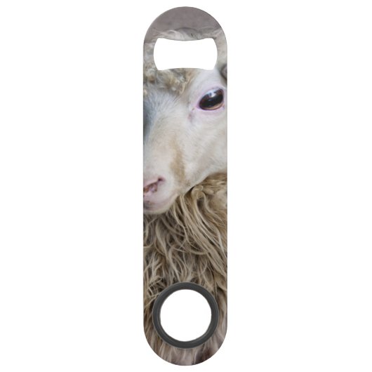 Funny Sheep Speedflaschenöffner (Vorderseite)