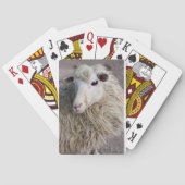 Funny Sheep Spielkarten (Rückseite)