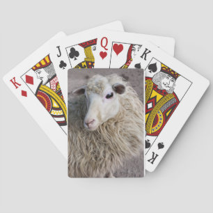 Funny Sheep Spielkarten