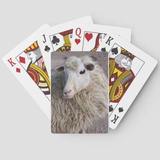 Funny Sheep Spielkarten (Rückseite)