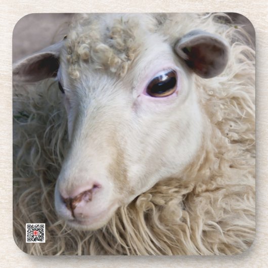 Funny Sheep Untersetzer (Vorderseite)