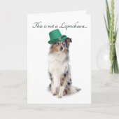 Funny Sheltie St. Patrick's Day Card Karte (Vorderseite)