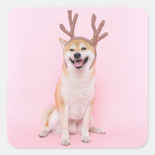 Funny Shiba Inu Wearing Christmas Deer Anzug Quadratischer Aufkleber