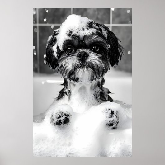 Funny Shih Tzu Bubble Bath Photograph, Dog Poster (Vorne)