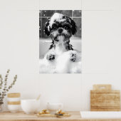 Funny Shih Tzu Bubble Bath Photograph, Dog Poster (Küche)