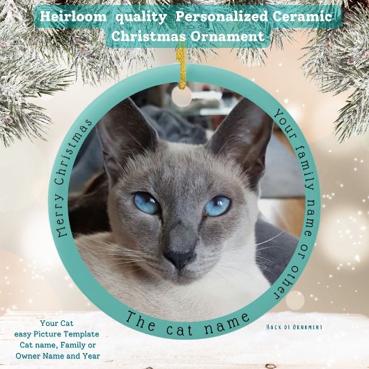Funny Siamese Katze Besuchen Santa mit Unglaublich Keramik Ornament