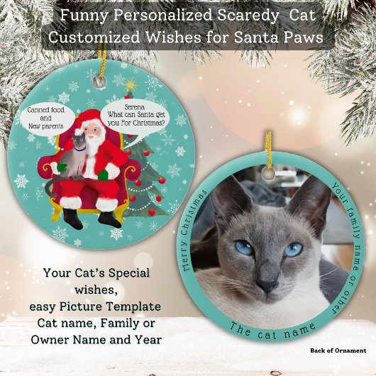 Funny Siamese Katze Besuchen Santa mit Unglaublich Keramik Ornament