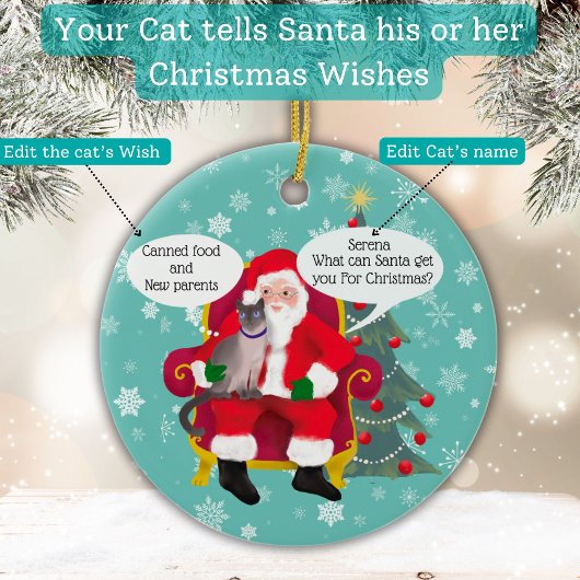 Funny Siamese Katze Besuchen Santa mit Unglaublich Keramik Ornament