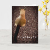 Funny Siamese Kitten Hintern Foto Belated Birthday Karte (Gelbe Blume)