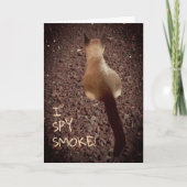 Funny Siamese Kitten Hintern Foto Geburtstag Karte (Vorderseite)