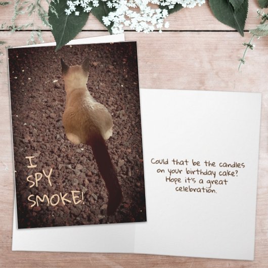 Funny Siamese Kitten Hintern Foto Geburtstag Karte