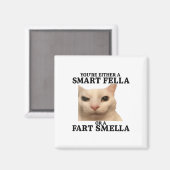Funny Sie entweder eine Smart Fella oder eine Furz Magnet (Vorderseite/Rückseite)