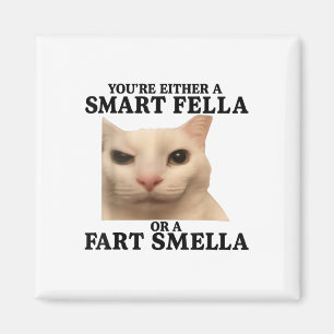 Funny Sie entweder eine Smart Fella oder eine Furz Magnet