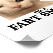 Funny Sie entweder eine Smart Fella oder eine Furz Poster (Ecke)