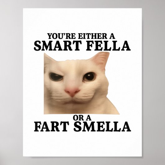 Funny Sie entweder eine Smart Fella oder eine Furz Poster (Vorne)
