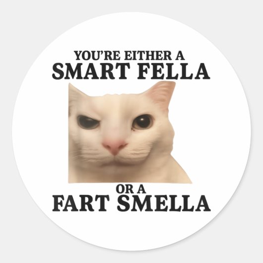 Funny Sie entweder eine Smart Fella oder eine Furz Runder Aufkleber (Vorderseite)