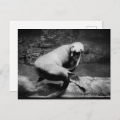 FUNNY Siegel Postkarte (Vorne/Hinten)