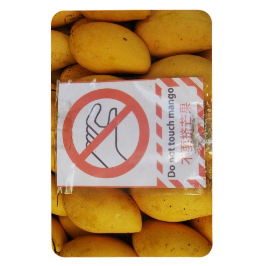 Funny Sign 'Do not Touch mango' Magnet (Vertikal)