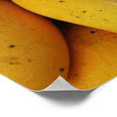 Funny Sign 'Do not Touch mango' Poster (Ecke)