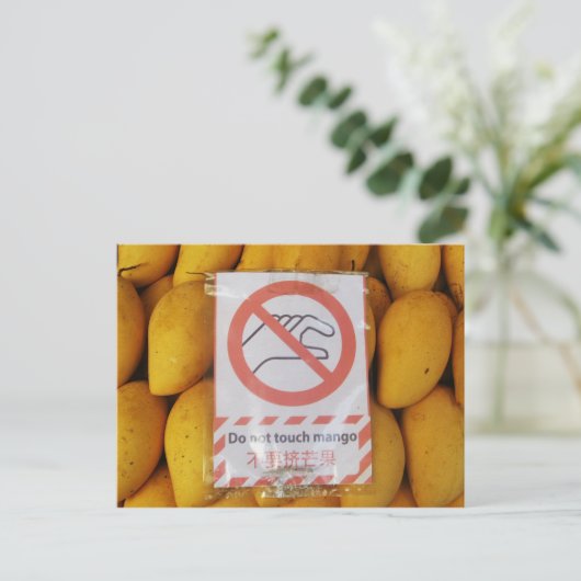 Funny Sign 'Do not Touch mango' Postkarte (Stehend Vorderseite)