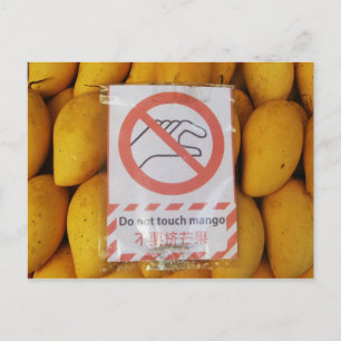 Funny Sign 'Do not Touch mango' Postkarte