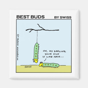 Funny Silkworm Caterpillars Magnet