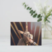 Funny Singing Donkey Postkarte (Stehend Vorderseite)
