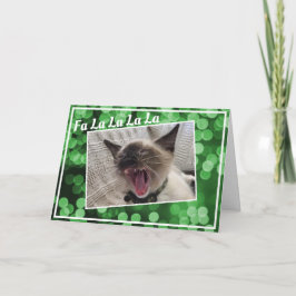 Funny Singing Siamese Kitten Foto Weihnachten