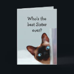 Funny Sister Birthday wünscht Siamese Cat Karte<br><div class="desc">Funny Sister Birthday wünscht Siam Cat Animal Spaß Sie auf.   Ideal für diese Schwester in Ihrem Leben mit einem Gefühl von Spaß,  einer Liebe von Katzen und einem Geburtstag</div>