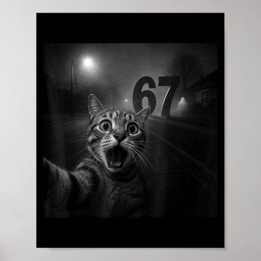 Funny Six Seven 6 7 Meme Gen Z Alpha Slang Cat Sel Poster (Vorne)