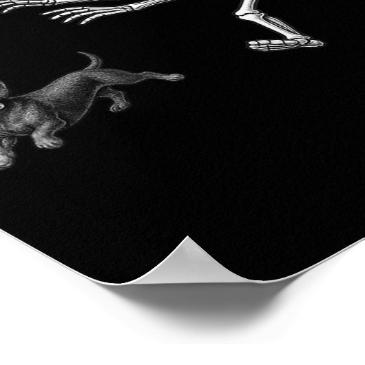 Funny Skeleton Jasing Dackel Hund Halloween Hund Poster (Ecke)