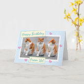Funny Sky Blue vom Cats Foto Happy Birthday Karte (Gelbe Blume)
