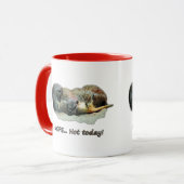 Funny, sleeping meerkats tasse (Vorderseite Links)