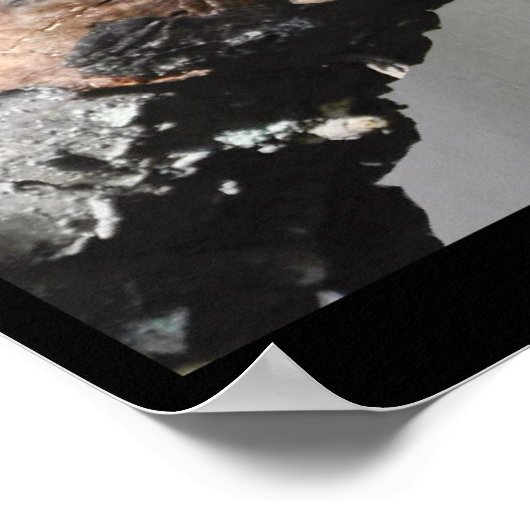 Funny Sleepry Squirrel Blank Card Poster (Ecke)