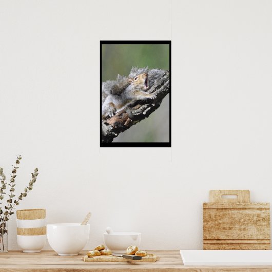 Funny Sleepry Squirrel Blank Card Poster (Küche)