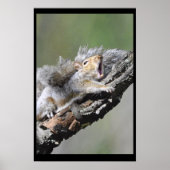 Funny Sleepry Squirrel Blank Card Poster (Vorne)
