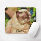 Funny Sleepy Cat&For Kitten Liebhaber Mousepad (Mit Mouse)