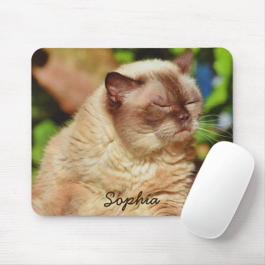 Funny Sleepy Cat&For Kitten Liebhaber Mousepad (Mit Mouse)