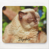 Funny Sleepy Cat&For Kitten Liebhaber Mousepad (Vorne)