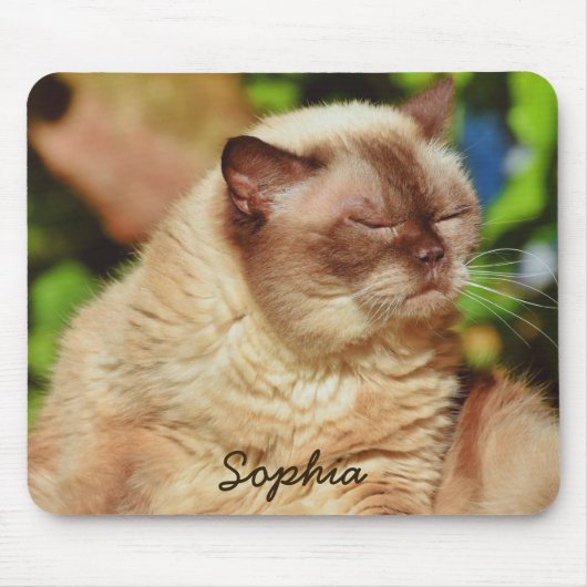 Funny Sleepy Cat&For Kitten Liebhaber Mousepad (Vorne)