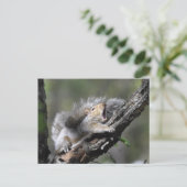 Funny Sleepy Squirrel Blank Card Postkarte (Stehend Vorderseite)