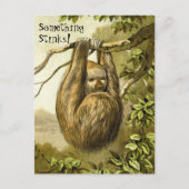 Funny Sloth riecht etwas, das stinkt Postkarte (Vorderseite)