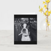 Funny Smoking Dog Meme Cigarette Gen Z Meme Dog Lo Karte (Gelbe Blume)