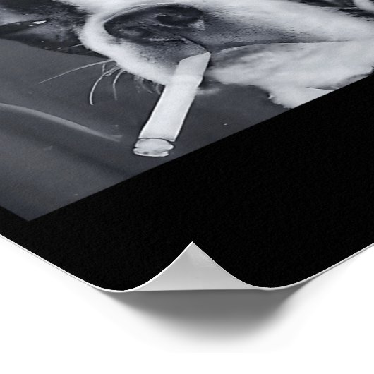 Funny Smoking Dog Meme Cigarette Gen Z Meme Dog Lo Poster (Ecke)
