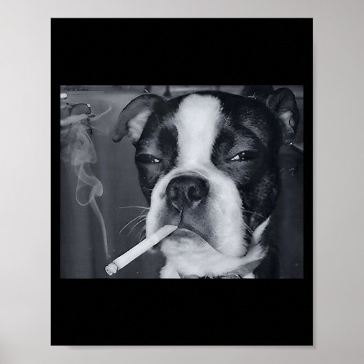 Funny Smoking Dog Meme Cigarette Gen Z Meme Dog Lo Poster (Vorne)