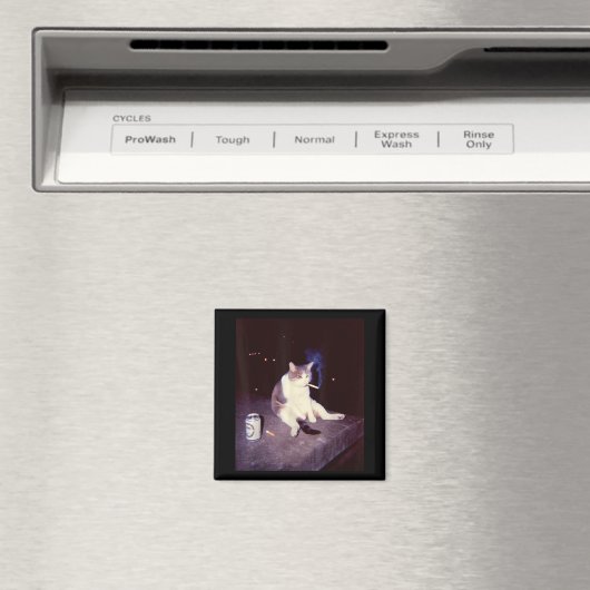 Funny Smoking Meme Cigarette Kitten Brainrot Alber Magnet (In Situ (Geschirrspüler))