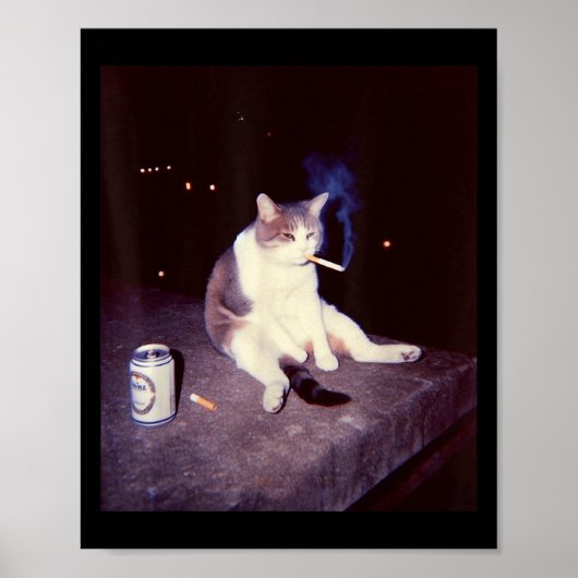 Funny Smoking Meme Cigarette Kitten Brainrot Alber Poster (Vorne)