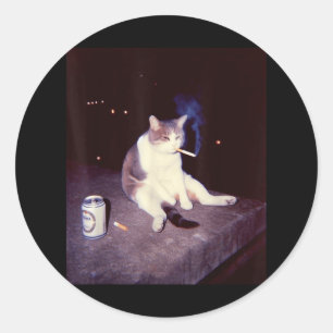 Funny Smoking Meme Cigarette Kitten Brainrot Alber Runder Aufkleber