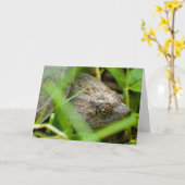 Funny snapping turtle belated birthday card karte (Gelbe Blume)